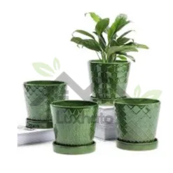 Ceramic Pot with Drainage in Alabama