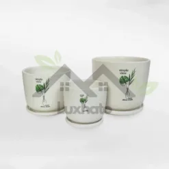 Super cute Alabama leaf pattern ceramic pot with saucer in Montana