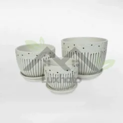 Super cute white daisy border ceramic pot with saucer in Alabama