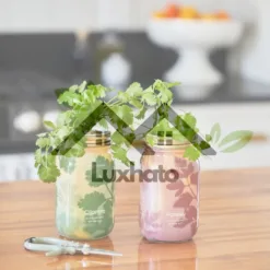 Modern Sprout Herb Garden Kit